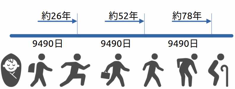 MLSの長期ライフサイクル分析の概念図。人生のステージを約26年(9490日)ごとの周期で示し、短期的な事象に左右されない大局的な人生・事業の戦略を構築するフレームワーク。
