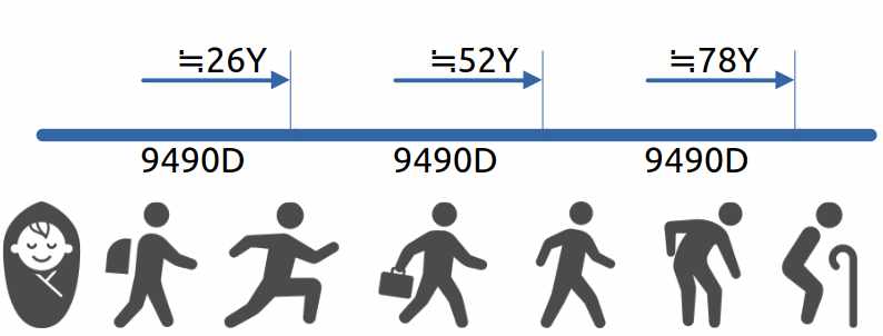 Diagram illustrating the MLS Long-Term Life Cycle Analysis. It shows human life stages segmented by approximately 26-year (9490-day) cycles, used to construct large-scale life or business strategies independent of short-term events.